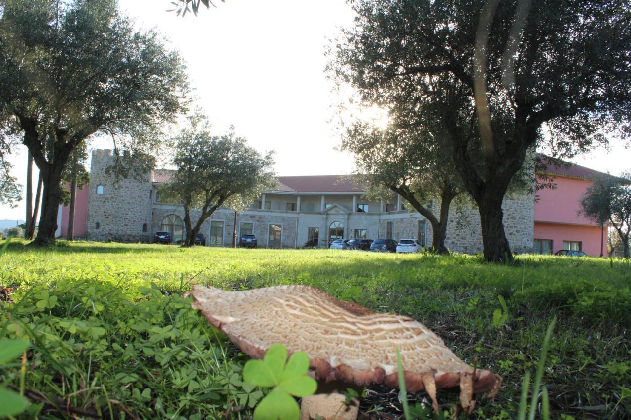 Palace Hotel & Spa Termas De Sao Tiago Penamacor Buitenkant foto